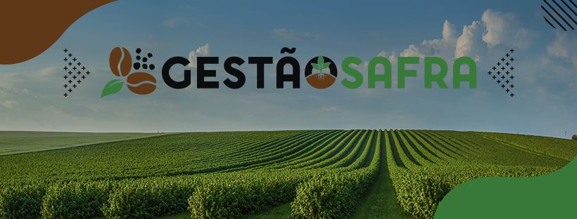 Gestão Safra
